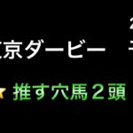 【競馬予想】　地方交流重賞　東京ダービー　予想　2025