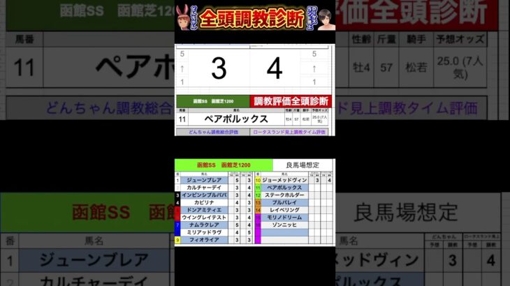 #フィオライア　#ジョーメッドヴィン　#ステークホルダー　#ペアポルックス　#競馬予想ハイライト #全頭診断  #函館スプリントステークス2025