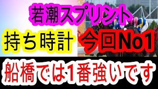 【競馬予想】若潮スプリント2025　ベアバッキューンは本当に大丈夫なのか！？　短距離の〇〇騎手で大勝ち目指します！！
