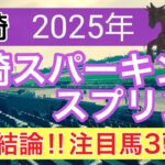 【川崎スパーキングスプリント2025】蓮の地方競馬予想(最終結論)