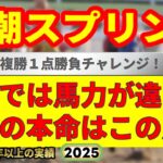 若潮スプリント2025競馬予想