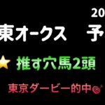 【競馬予想】　地方交流重賞　関東オークス　予想　2025