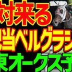 【関東オークス】すぐ見てください！予想テ口です！メモリアカフェ、クリノメイ、ツキノアカリ、クリノスワロー…中央馬が微妙…高配当の地方馬をバチコリ狙える！2025年関東オークス動画【競馬ゆっくり】