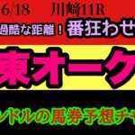 エルコンドル氏の関東オークス2025予想！！３歳牝馬には過酷な長丁場の一戦！キャリアまだまだ浅い馬達！番狂わせがあっても驚きはない！