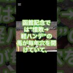 函館記念2025、穴馬の主軸は #競馬 #競馬予想 #東京競馬予想 #中央競馬予想 #automobile #競馬好きと繋がりたい