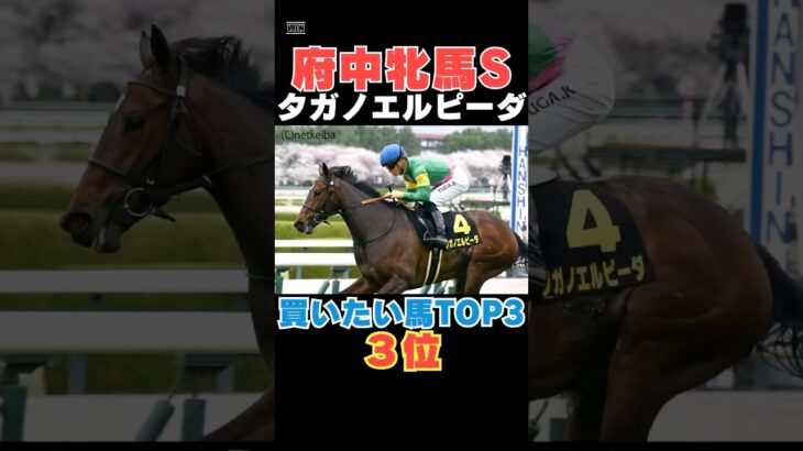 【府中牝馬Ｓ2025】タガノエルピーダが買いたい馬３位である理由を１分で解説！/ラヴァンダとも差のないレース内容！#府中牝馬Ｓ #タガノエルピーダ #競馬 #競馬予想 #shorts