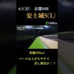 【買っちゃえばいいじゃん】安土城ステークス(Ｌ) 2025 #競馬予想 #win5