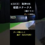【買っちゃえばいいじゃん】姫路ステークス(３勝クラス) 2025 #競馬予想 #win5