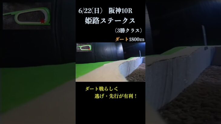 【買っちゃえばいいじゃん】姫路ステークス(３勝クラス) 2025 #競馬予想 #win5