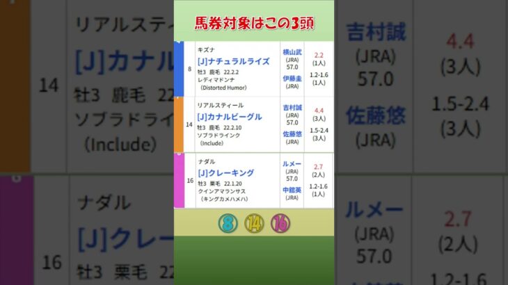 20250611　東京ダービー　GⅠ　公開予想　結果　#競馬 #競馬予想 #地方競馬