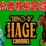 【2025/06/22】日の出牧場回覧板　日曜競馬予想　阪神7R【3歳以上1勝クラス】
