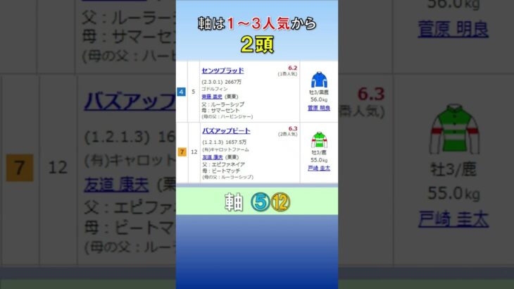 20250629　ラジオNIKKEI賞　GⅢ　公開予想 #競馬 #中央競馬予想 #競馬予想