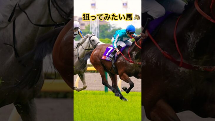 【安田記念2025】　#競馬　#競馬予想　#安田記念2025
