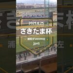 【さきたま杯 2025】上位5頭予想！指定交流重賞、さきたま杯の開催です。コスタノヴァ、エンペラーワケア、シャマル、チカッパ、タガノビューティーらが出走。