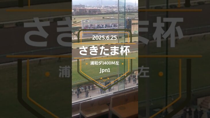 【さきたま杯 2025】上位5頭予想！指定交流重賞、さきたま杯の開催です。コスタノヴァ、エンペラーワケア、シャマル、チカッパ、タガノビューティーらが出走。
