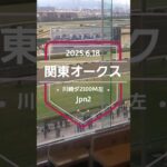 【関東オークス 2025】上位5頭予想！南関東競馬牝馬3冠レース最終戦、関東オークスの開催です。クリノメイ、メモリアカフェ、ツキノアカリ、クリノスワローらが出走！