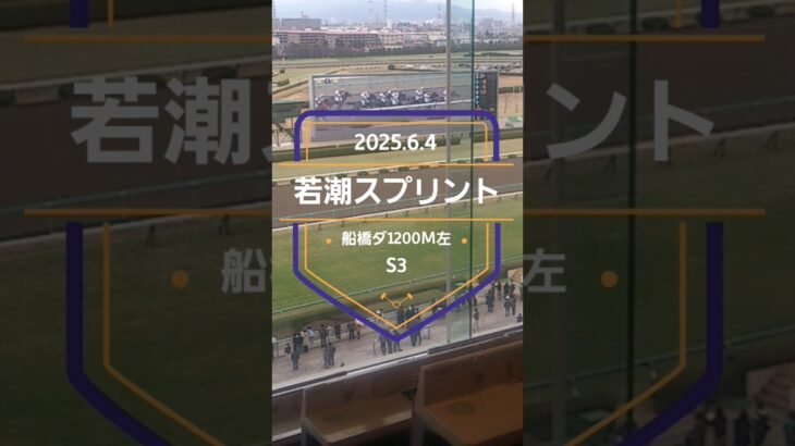 【若潮スプリント 2025】上位5頭予想！南関東3歳限定ダート重賞、若潮スプリントの開催です。フィエレッツァ、ベアバッキューン、パンクビート、カンノンミカヅキらが出走。
