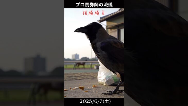いちかばちか2025/6/14複勝競馬予想 #複勝 #中央競馬予想 #複勝転がし #競馬 #競馬予想