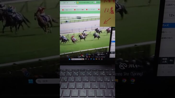 【函館記念競馬予想】懲りないおじさんの競馬予想 2025年6月27日 #函館記念 #競馬予想