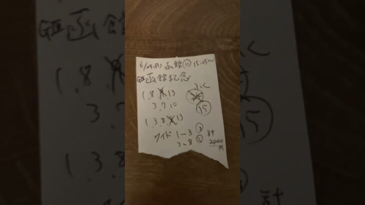 函館どうなん？2025GⅢ函館記念の買い目#競馬 #競馬予想 #馬券 #函館記念 #shorts