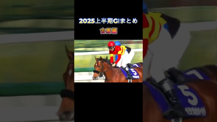 宝塚記念の豊さんしびれましたね！2025上半期GⅠまとめ・古馬編—-、？#競馬 #競馬予想 #馬 #shorts