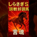 #競馬#予想#2025#G3#しらさぎS#調教#追い切り#好調#ウッドチップ#坂路#本命