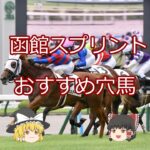 【2025函館スプリントS】おすすめ穴馬＃競馬＃競馬予想#shorts