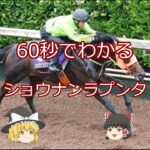 【2025宝塚記念】ショウナンラプンタ＃競馬＃競馬予想#shorts