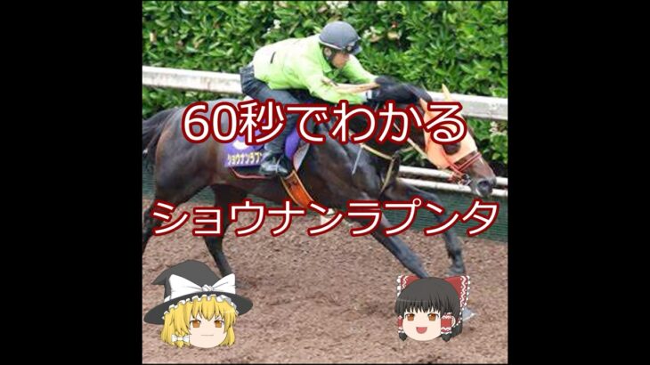【2025宝塚記念】ショウナンラプンタ＃競馬＃競馬予想#shorts