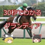 【2025函館記念】グランディア＃競馬予想＃競馬#shorts