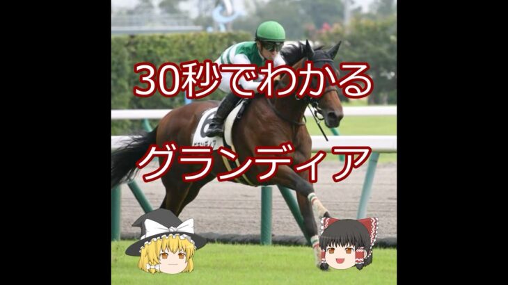 【2025函館記念】グランディア＃競馬予想＃競馬#shorts