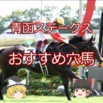 【2025青函ステークス】おすすめ穴馬＃競馬＃競馬予想#shorts