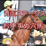 【2025青函ステークス】おすすめ穴馬＃競馬＃競馬予想#shorts