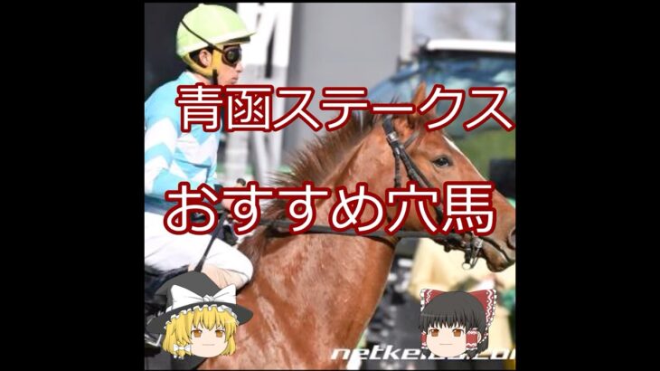 【2025青函ステークス】おすすめ穴馬＃競馬＃競馬予想#shorts