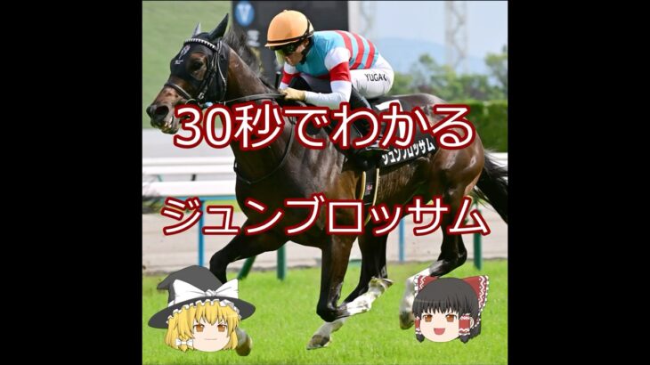 【2025安田記念】ジュンブロッサム＃競馬＃競馬予想#shorts