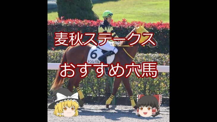 【2025麦秋ステークス】おすすめ穴馬＃競馬予想＃競馬#shorts
