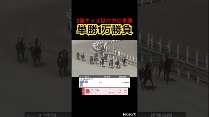 【発狂確定】2強オッズの時はどちらかの単勝を買えばいいので1万勝負した結果… #競馬 #競馬予想 #jra #地方競馬 #ウマ娘 #ウマ娘プリティーダービー #ギャンブル #ギャンブル依存症 #武豊