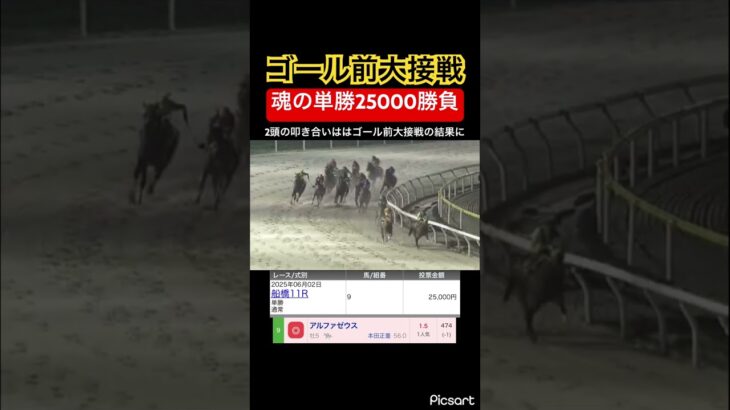 【大勝負】単勝25000円勝負したらゴール前2頭が大接戦に、#競馬 #競馬予想 #jra #地方競馬 #ウマ娘 #ウマ娘プリティーダービー #ギャンブル依存症 #ギャンブル #武豊 #大勝負 #単勝