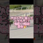 とんでもない3連複で勝負してみた　#競馬　#競馬予想　#地方競馬　#重賞　#穴