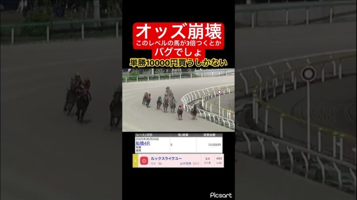 【オッズ崩壊】こんな強い馬が3倍もつくとかみんなちゃんと予想してます？？　#競馬 #競馬予想 #jra #地方競馬 #ウマ娘 #ウマ娘プリティーダービー #ギャンブル依存症 #ギャンブル #武豊