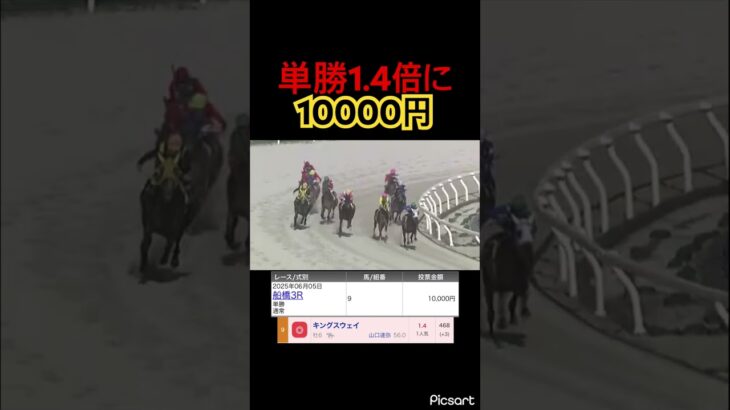 【ギャンブル依存症】船橋3レースから単勝1.4倍に1万賭けてしまう成人男性 #競馬 #競馬予想 #jra #地方競馬 #ウマ娘 #ウマ娘プリティーダービー #ギャンブル #ギャンブル依存症 #武豊