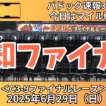 【高知ファイナルレース】前回パドック速報3着🎯今日はレアな1600m戦【高知競馬予想】