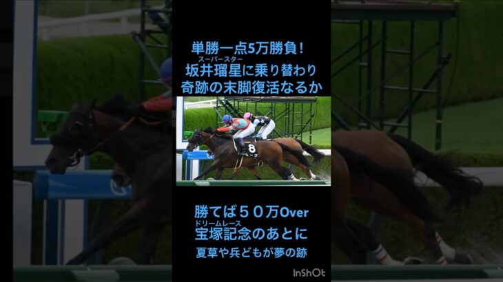 【スター騎手坂井瑠星に5万円勝負！】差し切れば一撃50万Overリボン賞 7連敗中の穴馬に希望の光！ついに若手スター騎手に乗り替わりで脅威の末脚は復活するのか？宝塚記念後最終R【夏草や兵どもが夢の跡】