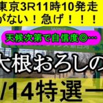【競馬予想】6月14日の特選一鞍【大根おろし】