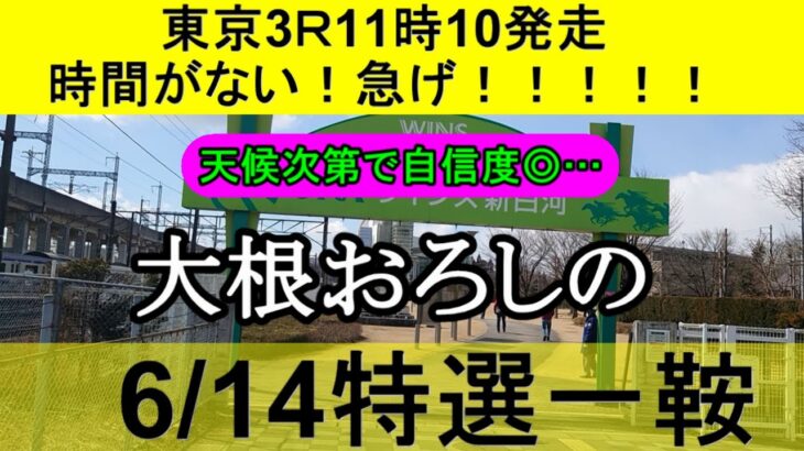 【競馬予想】6月14日の特選一鞍【大根おろし】