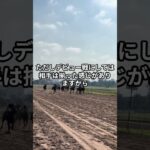 6月14日の函館5R推奨馬 #競馬 #函館競馬
