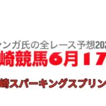 6月17日川崎競馬【全レース予想】2025川崎スパーキングスプリント
