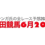 6月20日園田競馬【全レース予想】2025半夏生「明石だこ」特別