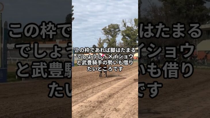 6月21日の函館4R推奨馬 #競馬 #競馬予想