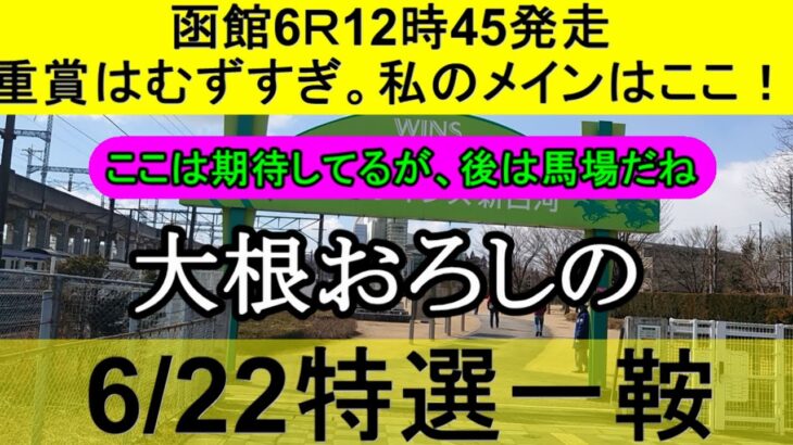 【競馬予想】6月22日の特選一鞍【大根おろし】
